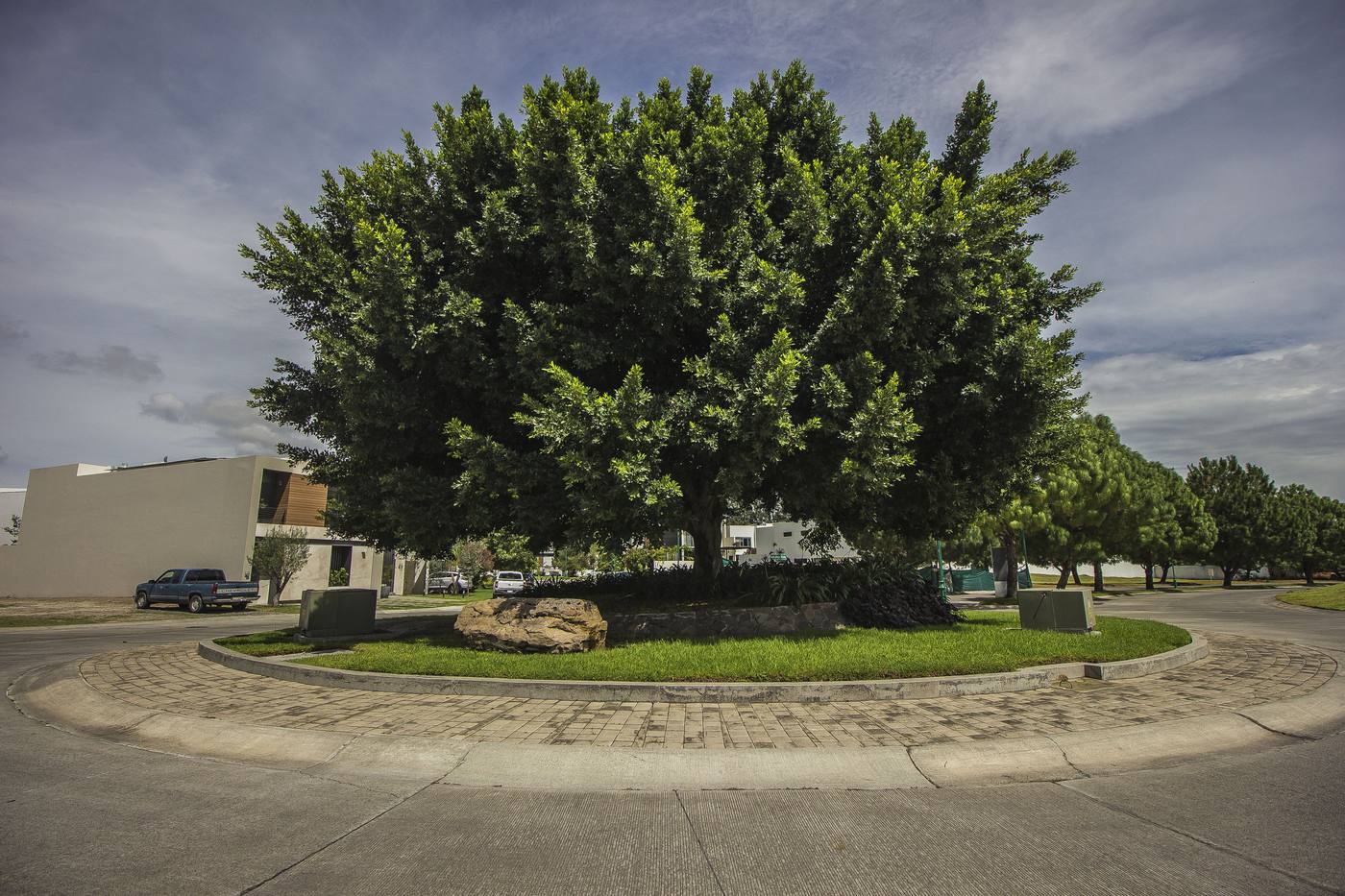 Naturaleza viva en Los Sueños Residencial Zapopan